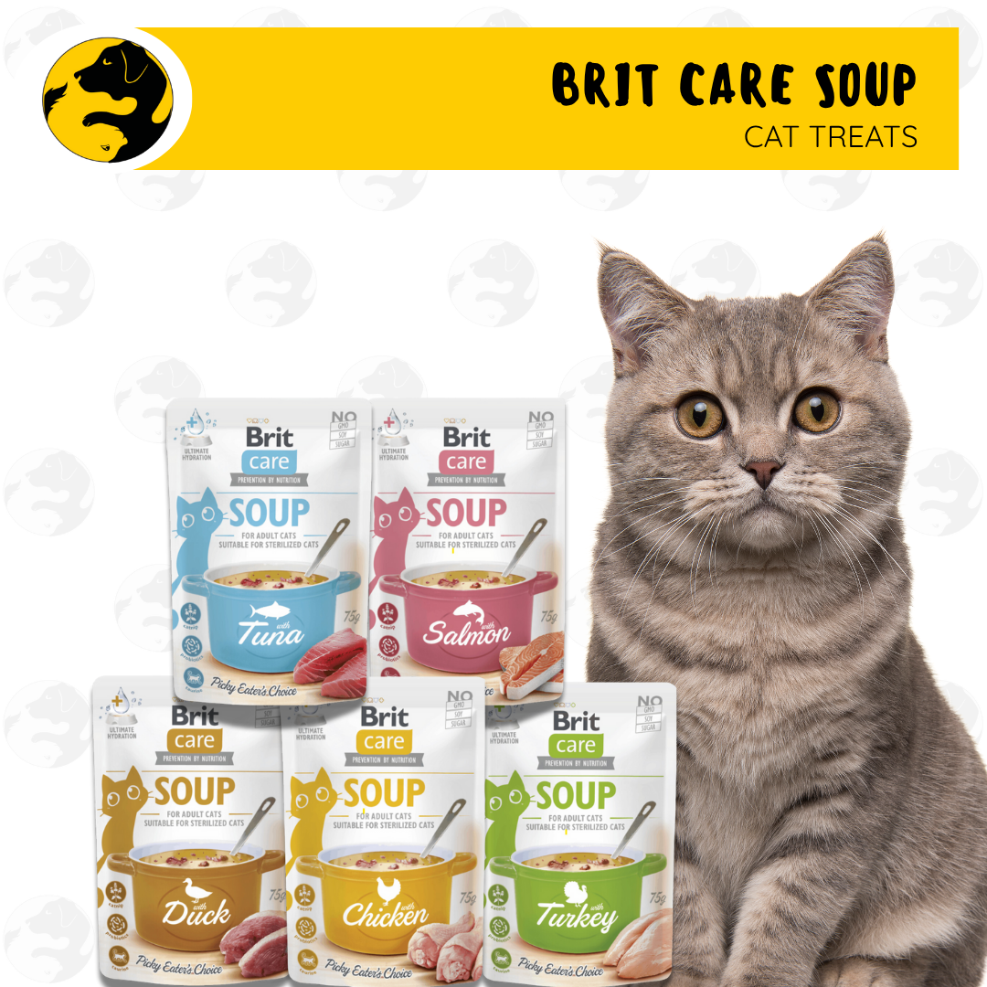 Brit Care Soup Wet Cat Food 75g
