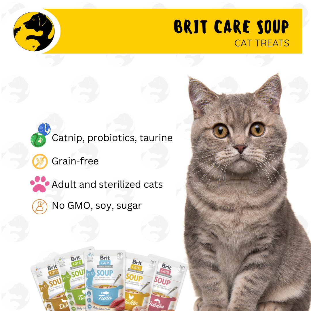 Brit Care Soup Wet Cat Food 75g