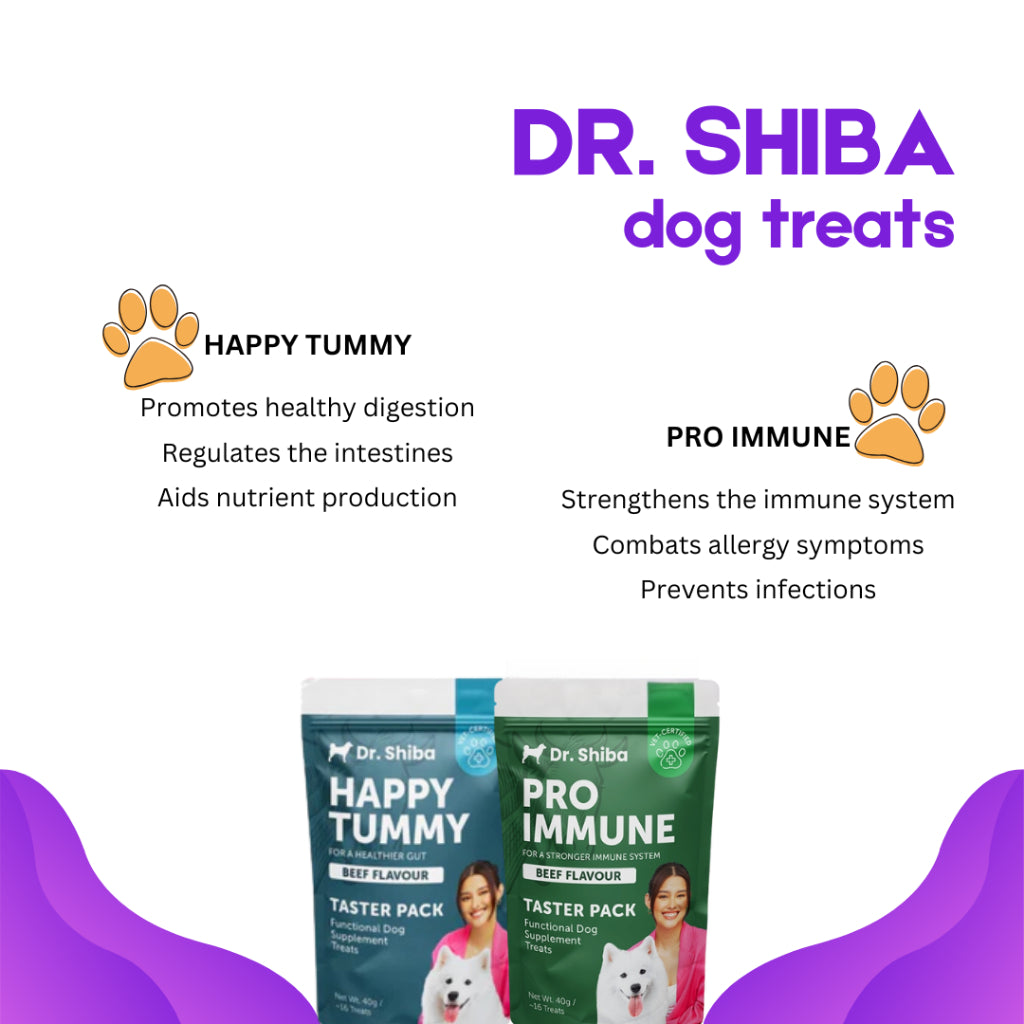 Dr. Shiba Happy Tummy Taster Pack Beef 40g Dog Treats Snack 16 pcs