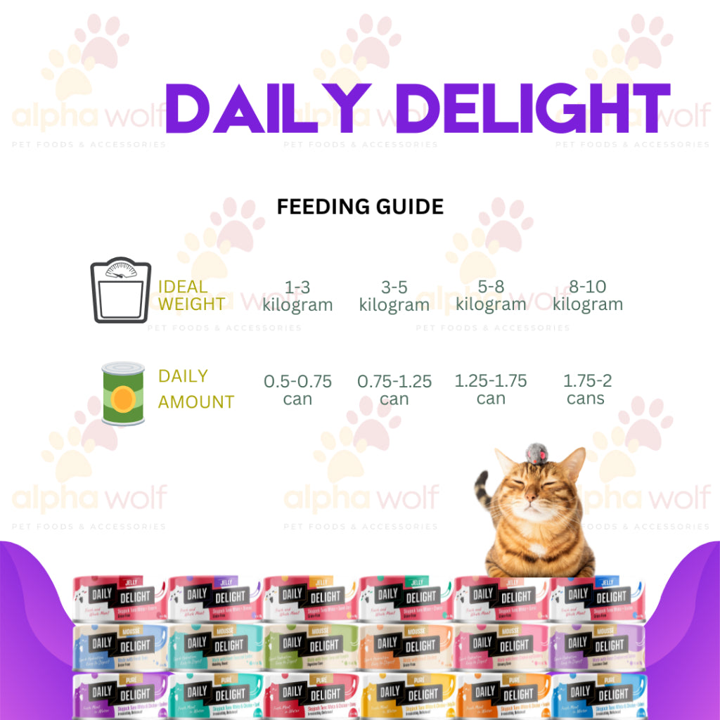 Daily Delight Wet Cat Food 80g