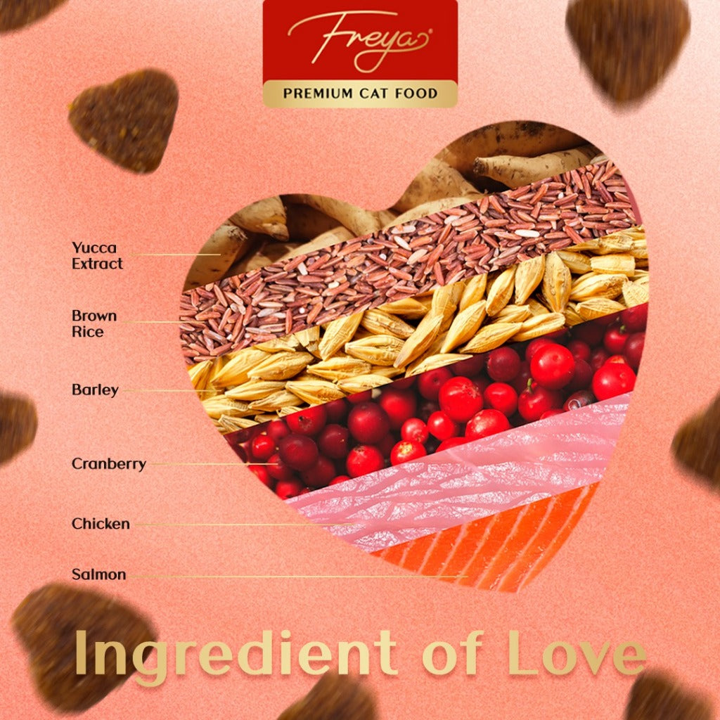 Freya Dry Cat Food for All Stage