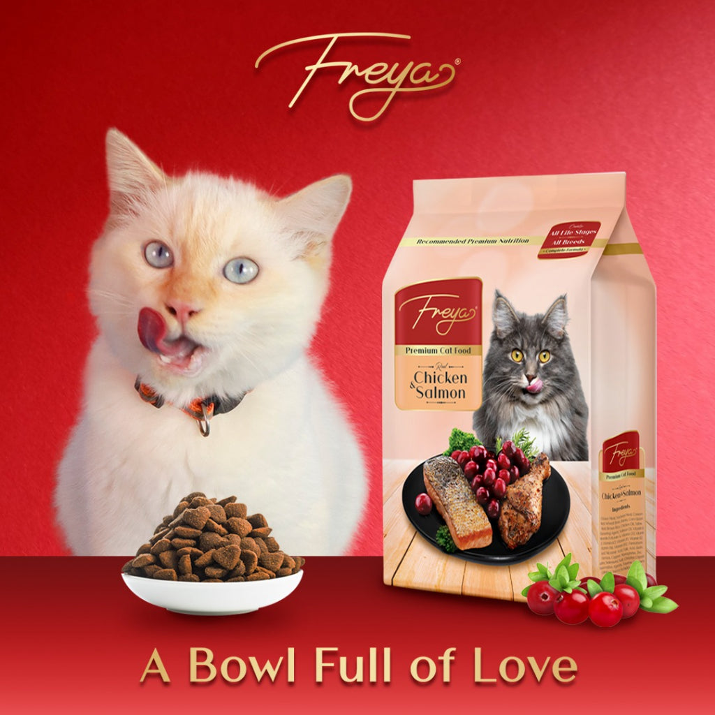 Freya Dry Cat Food for All Stage