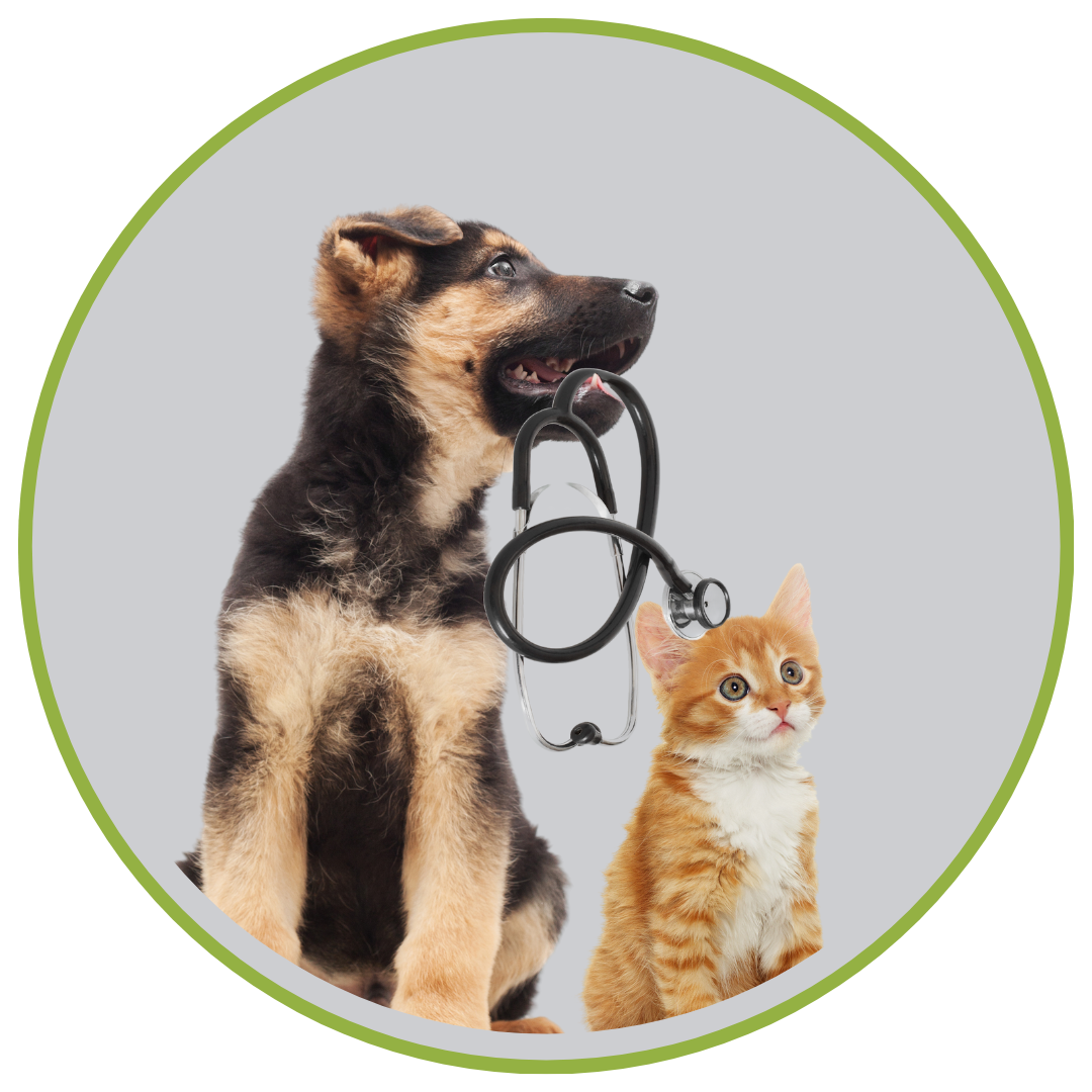 Pet Health Care