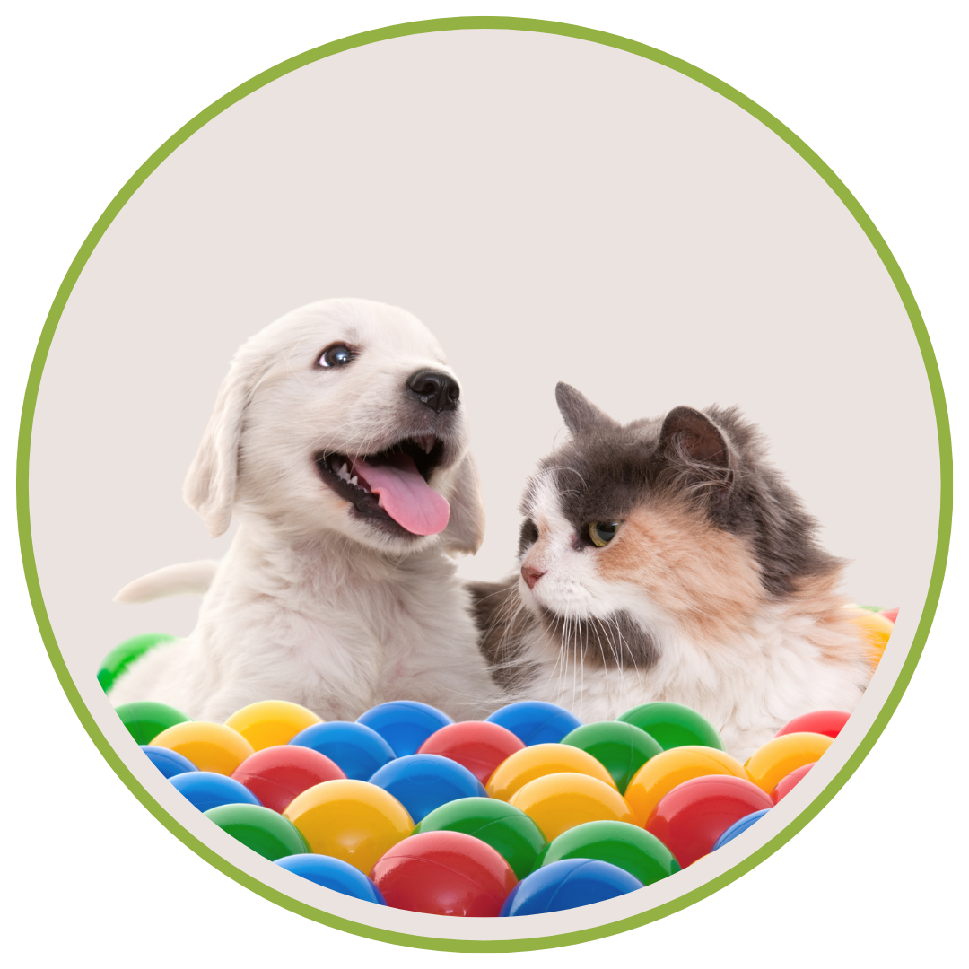 Pet Supplies