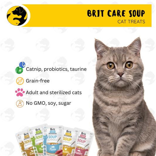 Brit Care Soup Wet Cat Food 75g