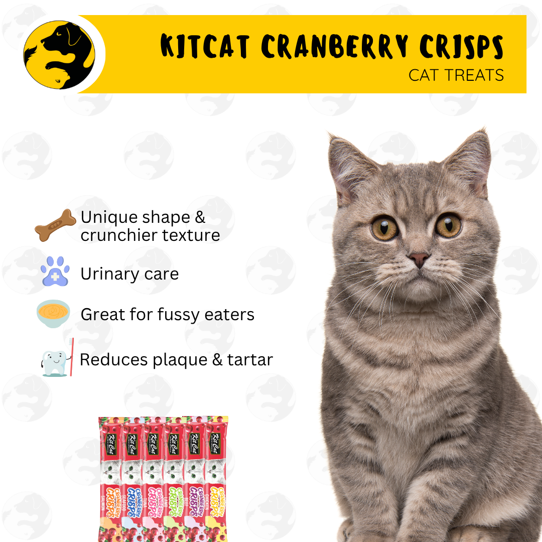 Kit Cat Cranberry Crisps 20grams Oral Dental Cat Treats