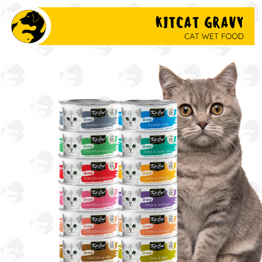 Kit Cat Gravy Wet Cat Food 70g