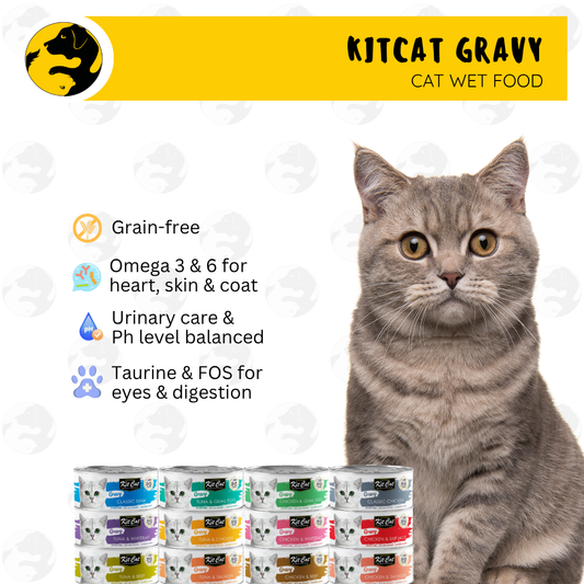 Kit Cat Gravy Wet Cat Food 70g