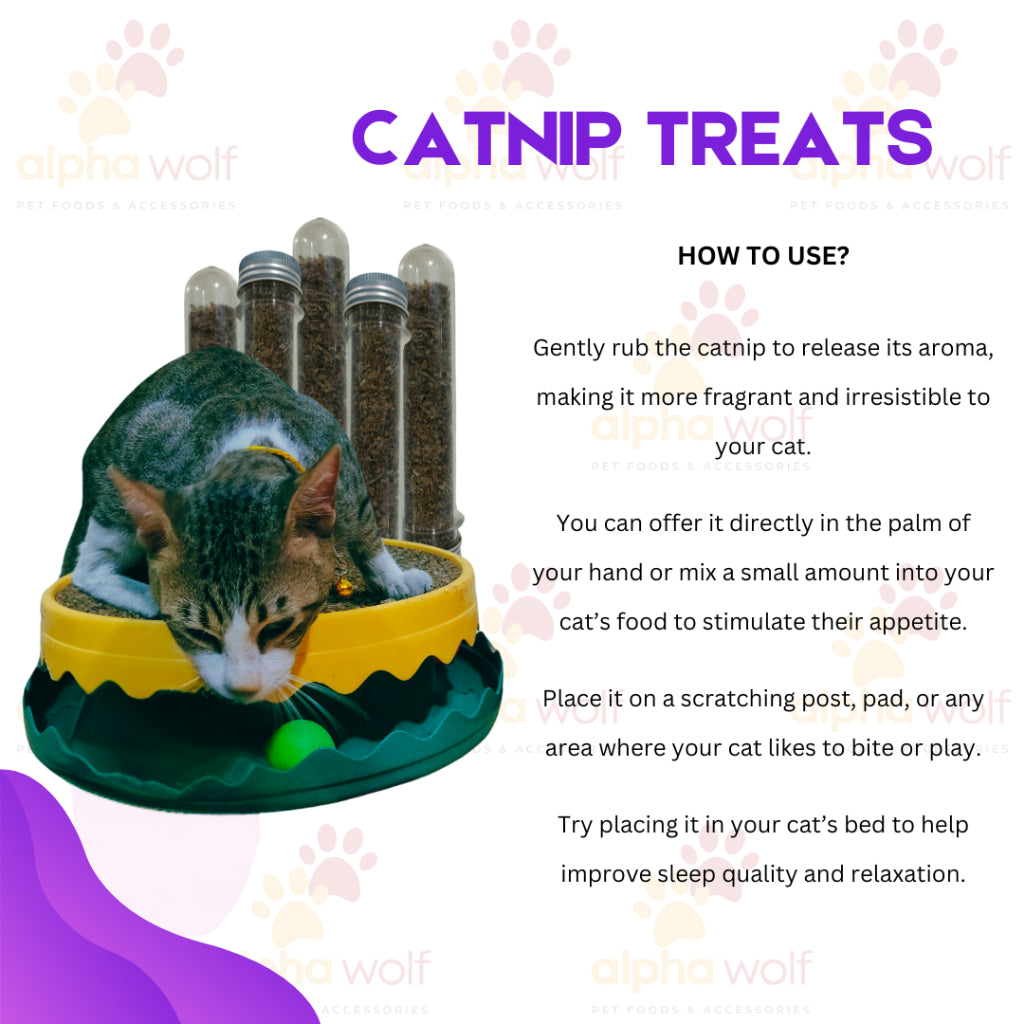 Catnip for Cats 45ml