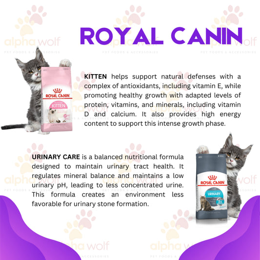 Royal Canin Adult Dry Cat Food