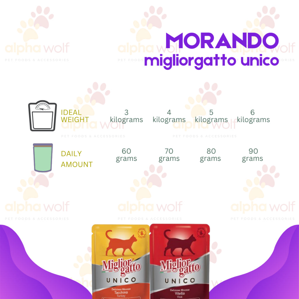 Miglior Gatto Unico Morando Wet Cat Food (85g)