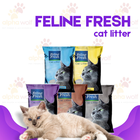 Feline Fresh Cat litter Sand Bentonite 10L
