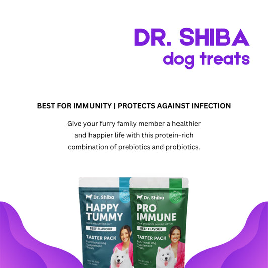 Dr. Shiba Happy Tummy Taster Pack Beef 40g  Dog Treats Snack 16 pcs
