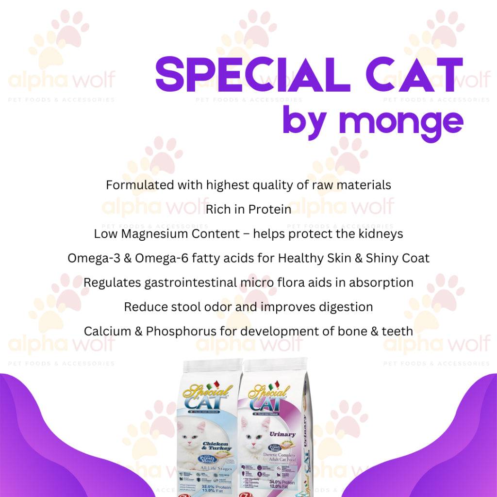 Special Cat Dry Food