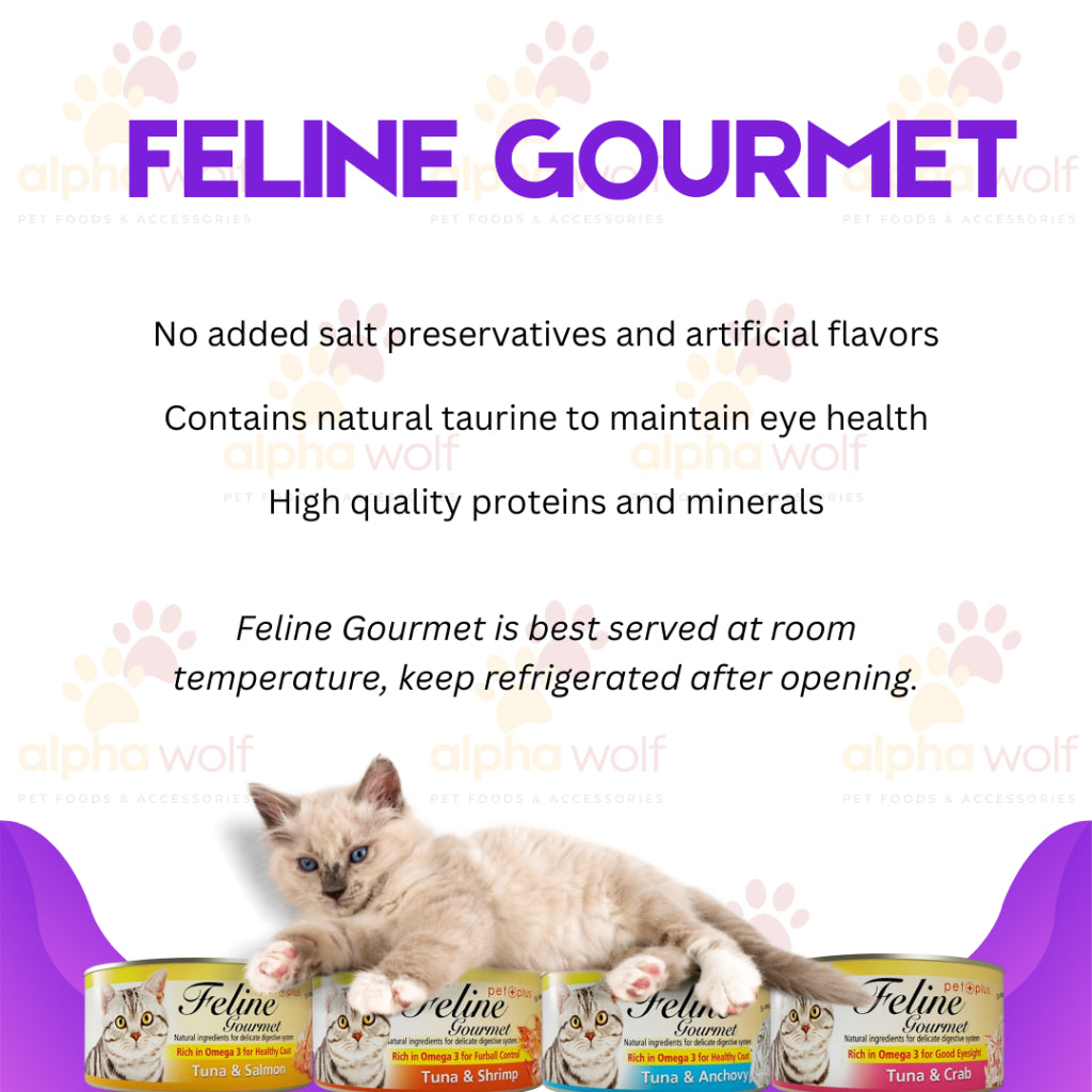 Feline Gourmet Cat Wet Food 80g