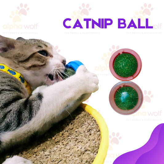 Catnip Ball for Cat with Cover Assorted Color