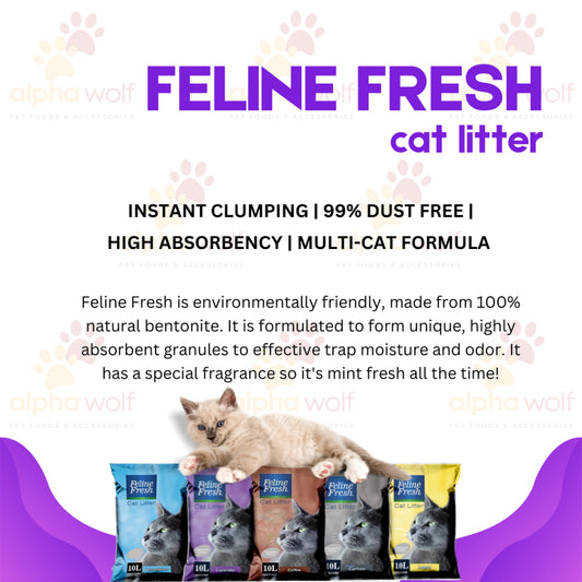 Feline Fresh Cat litter Sand Bentonite 10L