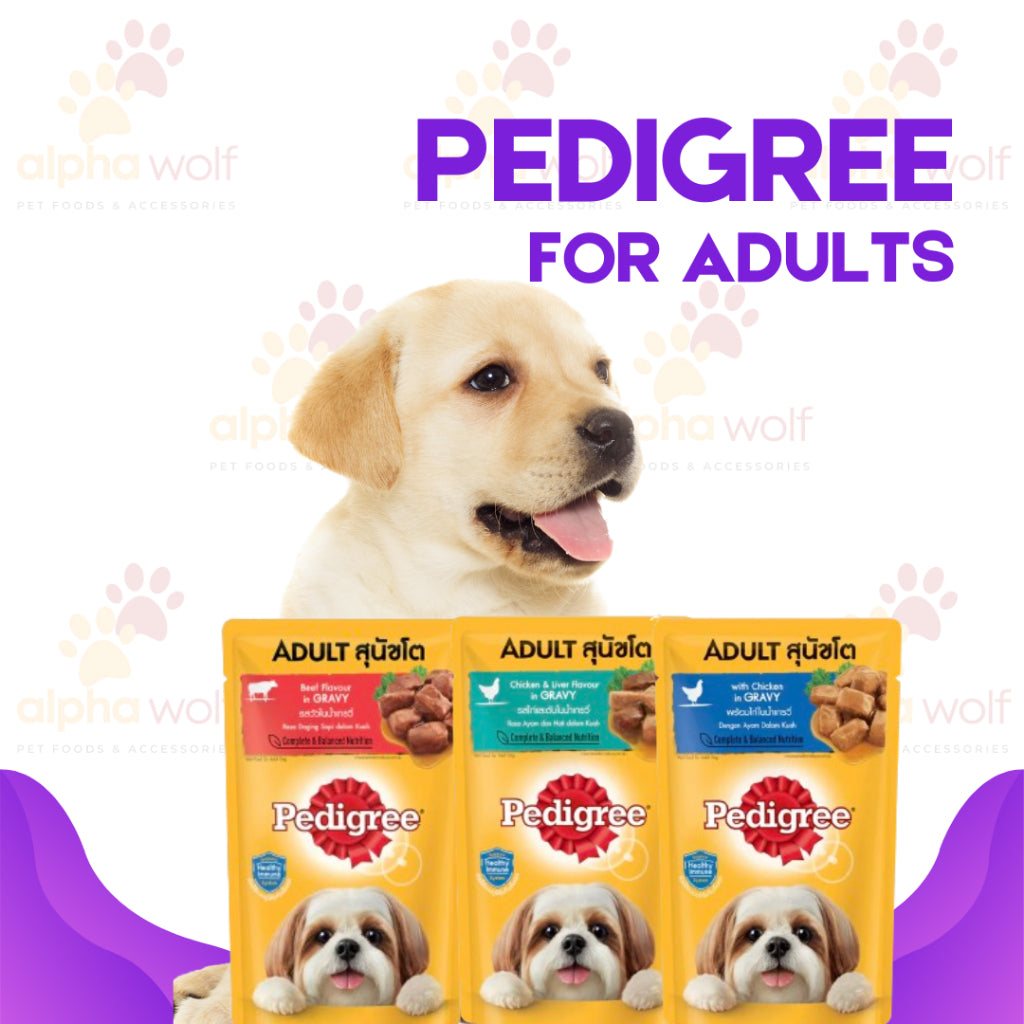 Pedigree Wet Food For Adult Dog, Complete And Balance Nutrition 130g