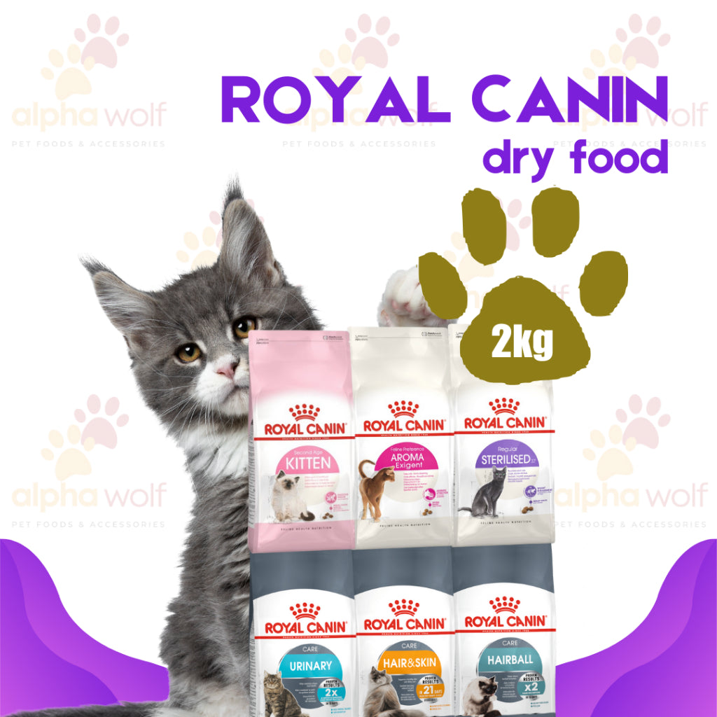 Royal Canin Adult Dry Cat Food