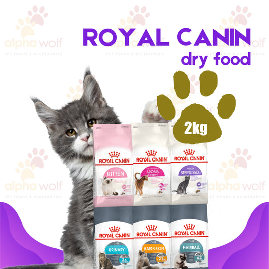 Royal Canin Adult Dry Cat Food