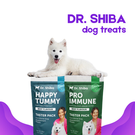 Dr. Shiba Happy Tummy Taster Pack Beef 40g  Dog Treats Snack 16 pcs