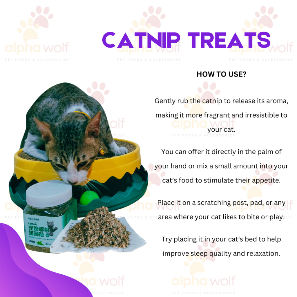 Catnip for Cats 250ml