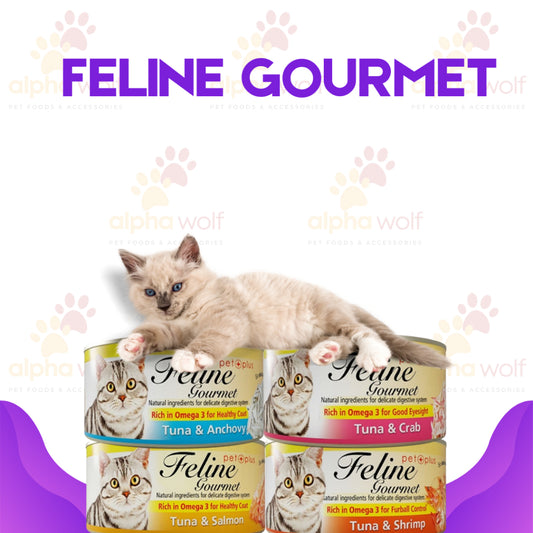 Feline Gourmet Cat Wet Food 80g