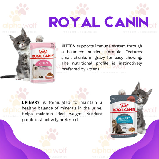 Royal Canin Wet in Pouch SPT Range 85g