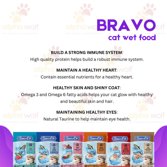 Bravo Wet Cat Food Pouch 80g