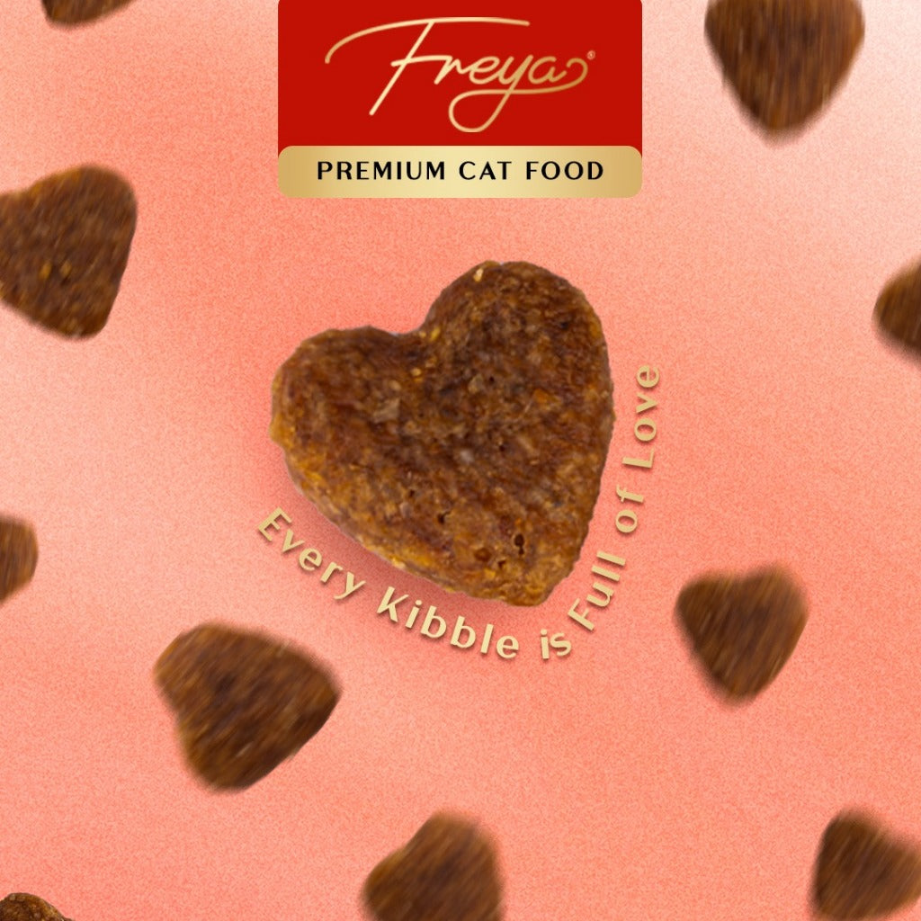 Freya Dry Cat Food for All Stage