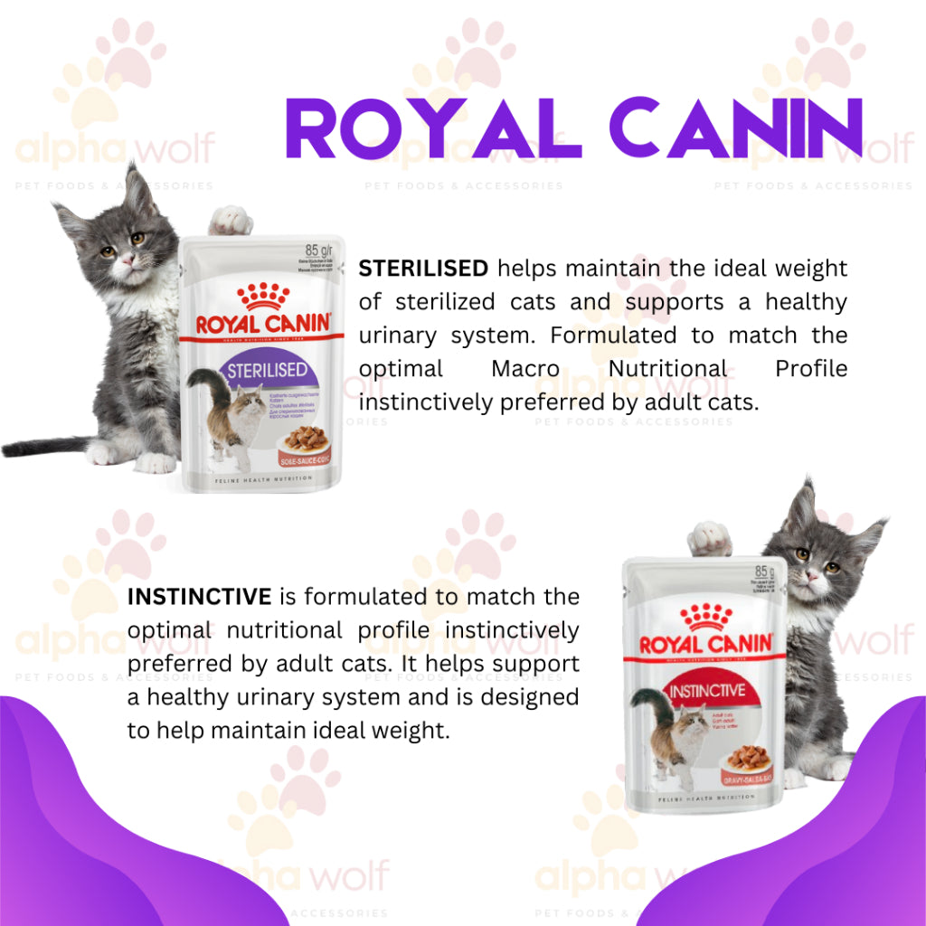 Royal Canin Wet in Pouch SPT Range 85g