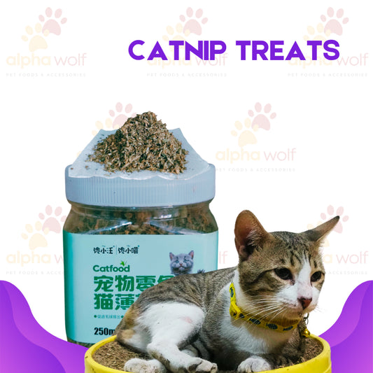 Catnip for Cats 250ml
