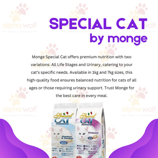 Special Cat Dry Food
