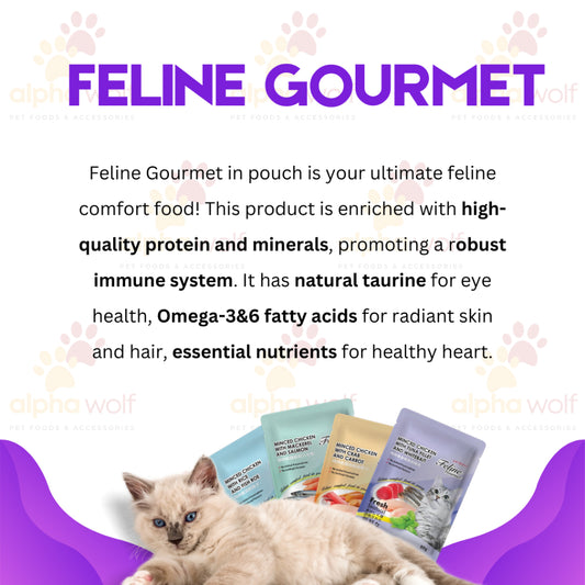 Feline Gourmet Pouch Wet Cat Food 80g