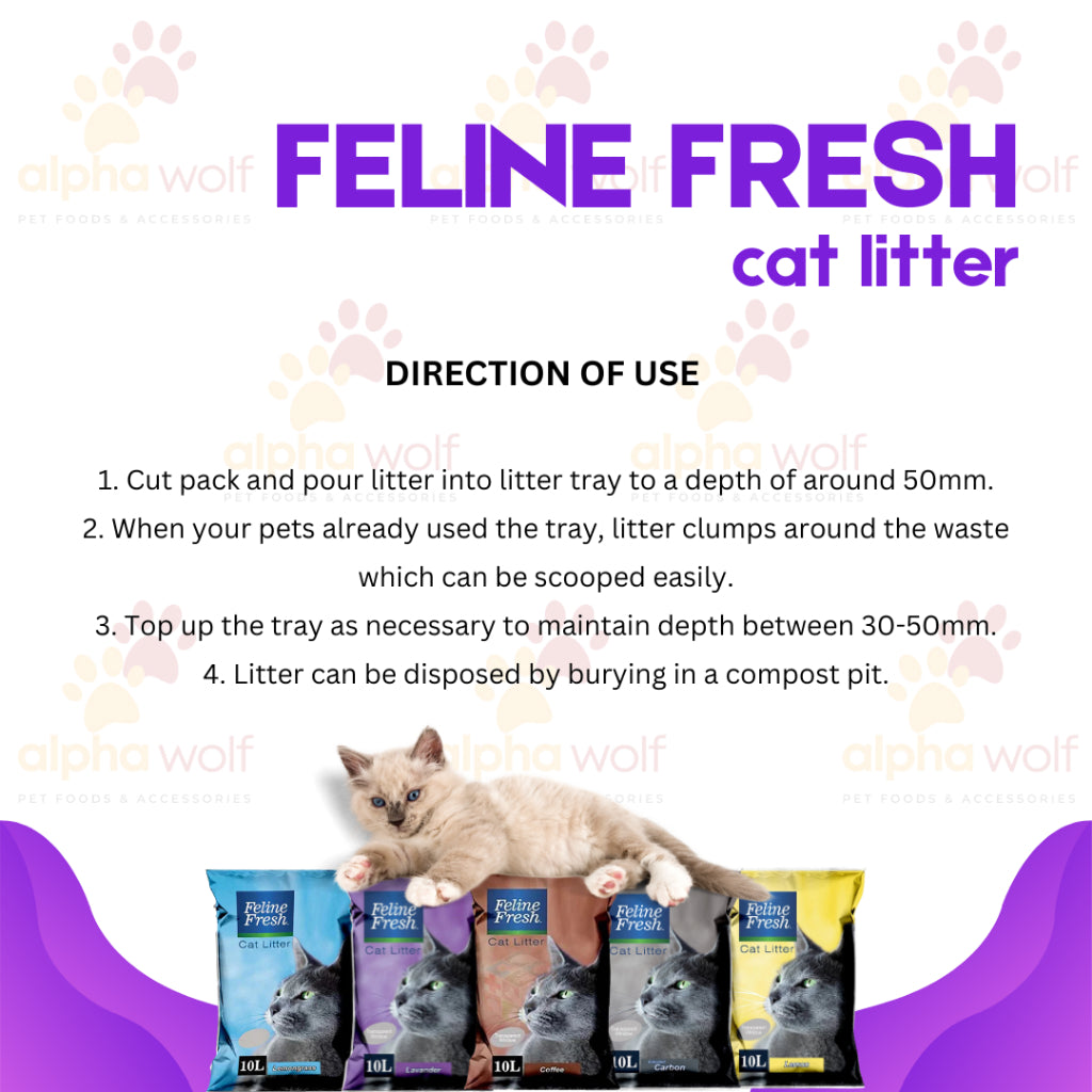 Feline Fresh Cat litter Sand Bentonite 10L