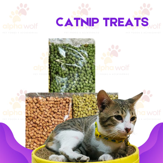 Cat Catnip Treat in 100g