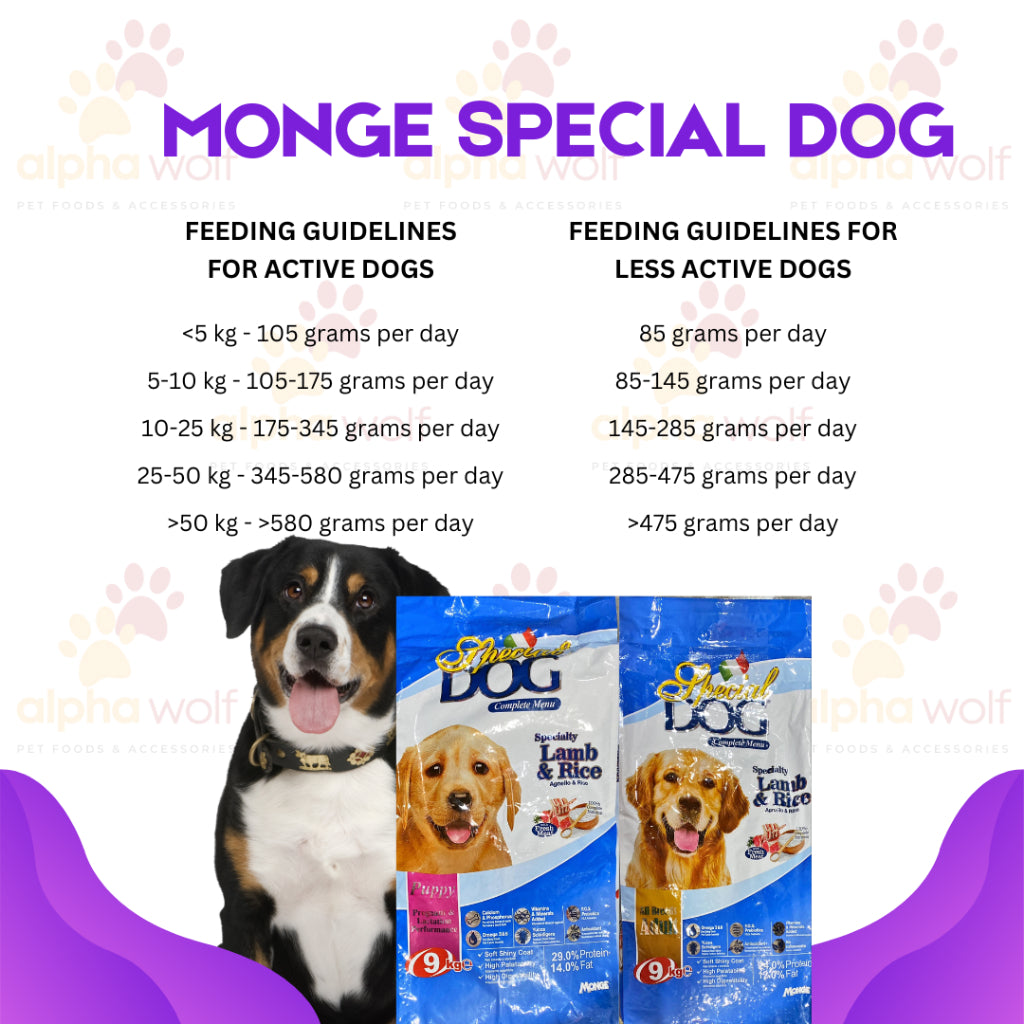 Special Dog Dry Food Lamb and Rice Adult and Puppy