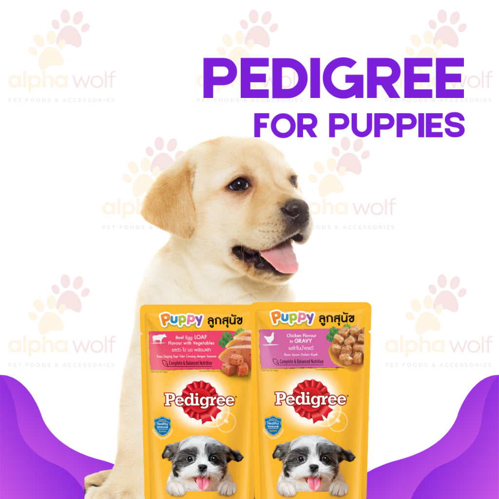 Pedigree Wet Food For Adult Dog, Complete And Balance Nutrition 130g