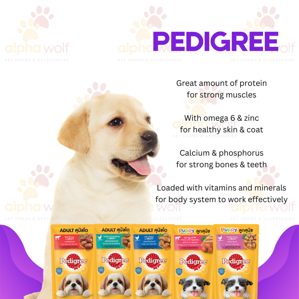 Pedigree Wet Food For Adult Dog, Complete And Balance Nutrition 130g