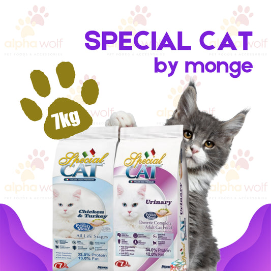 Special Cat Dry Food