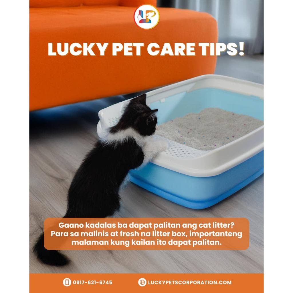 Lucky Pets Tofu Cat Litter 8L