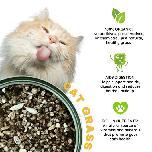 Cat Grass Canned Cat Helps Digestion Vomiting Hair Balls 100% Organic 70g
