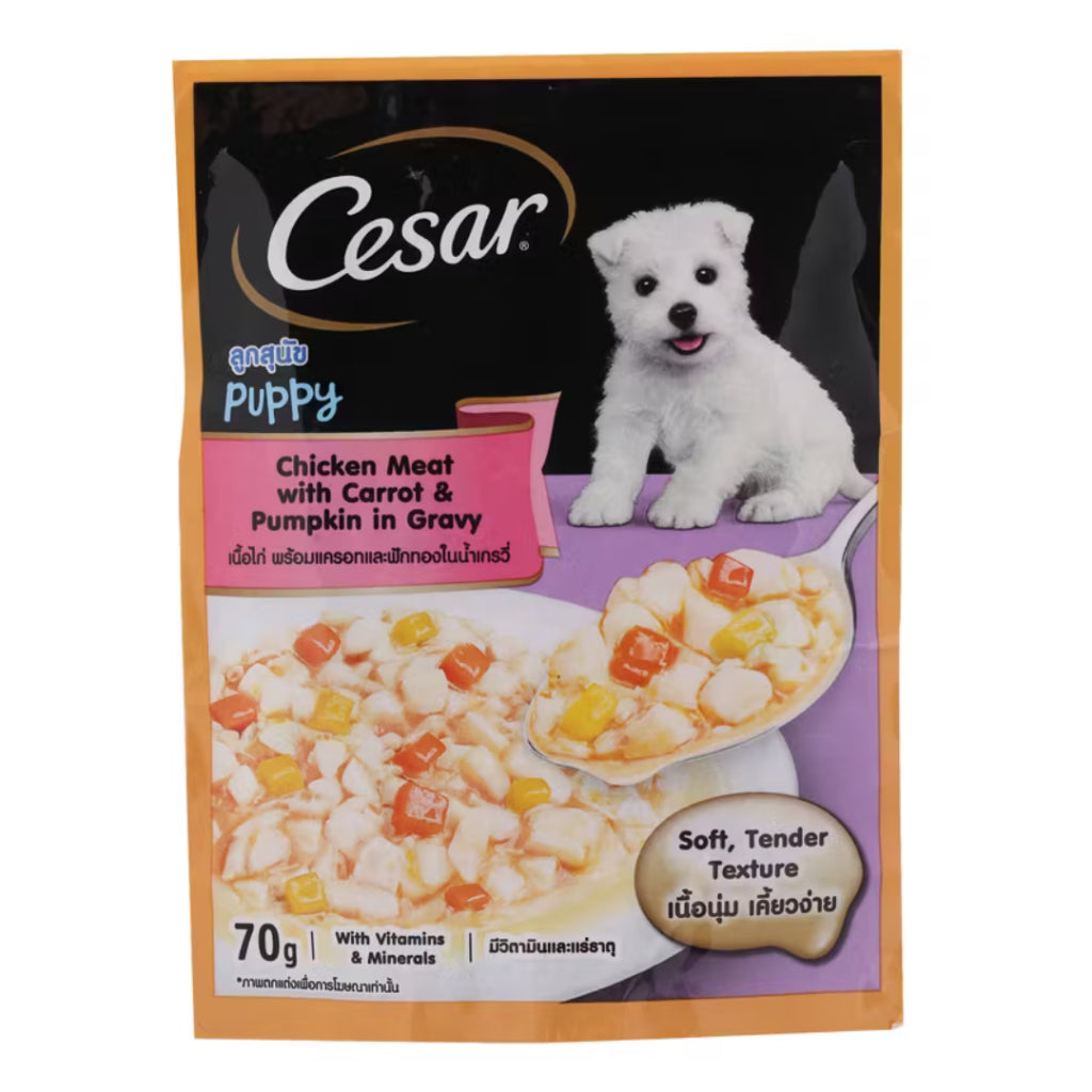 Cesar Wet Dog Food Chicken 70g