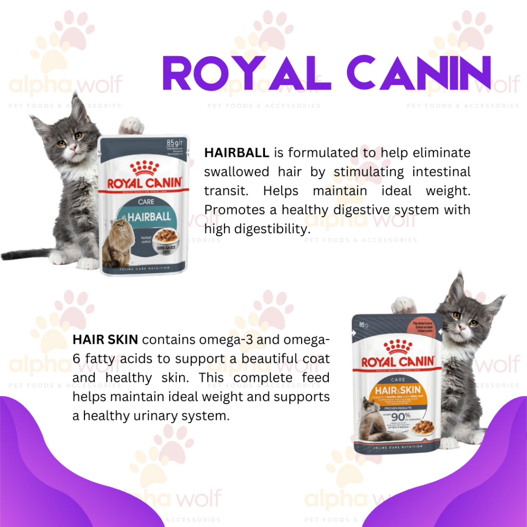Royal Canin Wet in Pouch SPT Range 85g