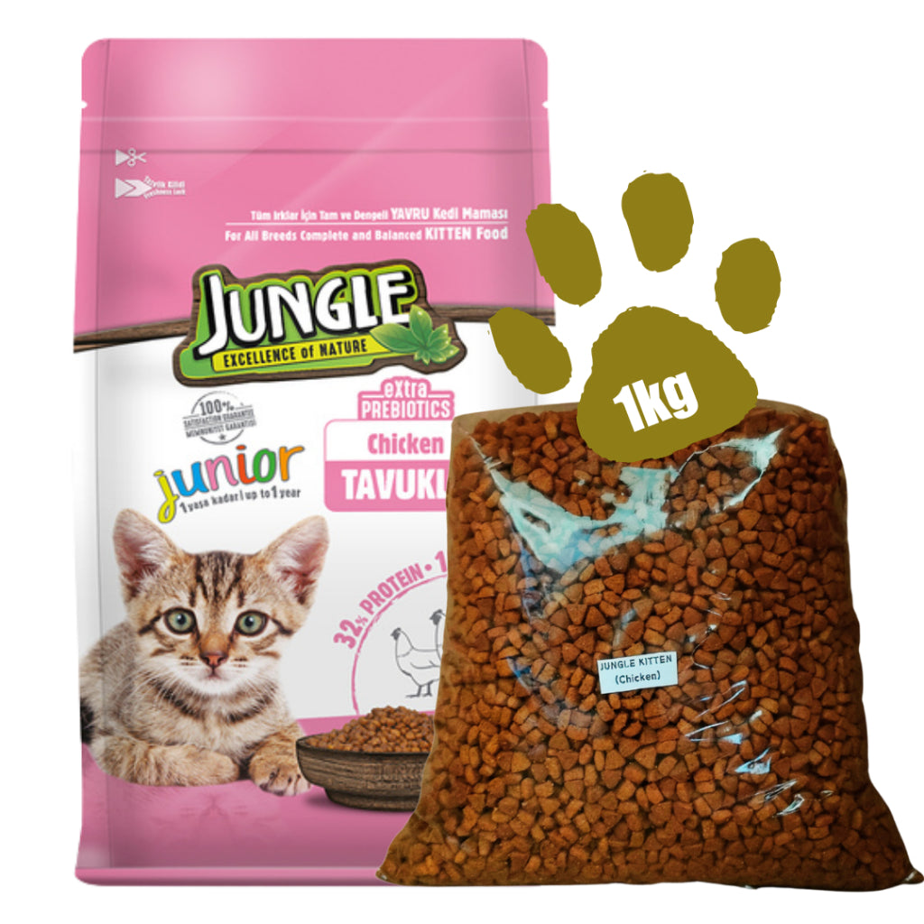 Jungle Dry Cat Food For Adult or Kitten 1kg