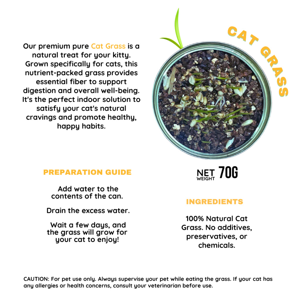 Cat Grass Canned Cat Helps Digestion Vomiting Hair Balls 100% Organic 70g