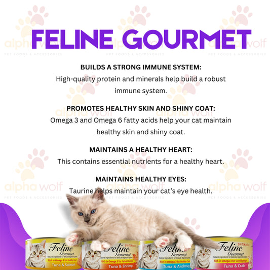 Feline Gourmet Cat Wet Food 80g