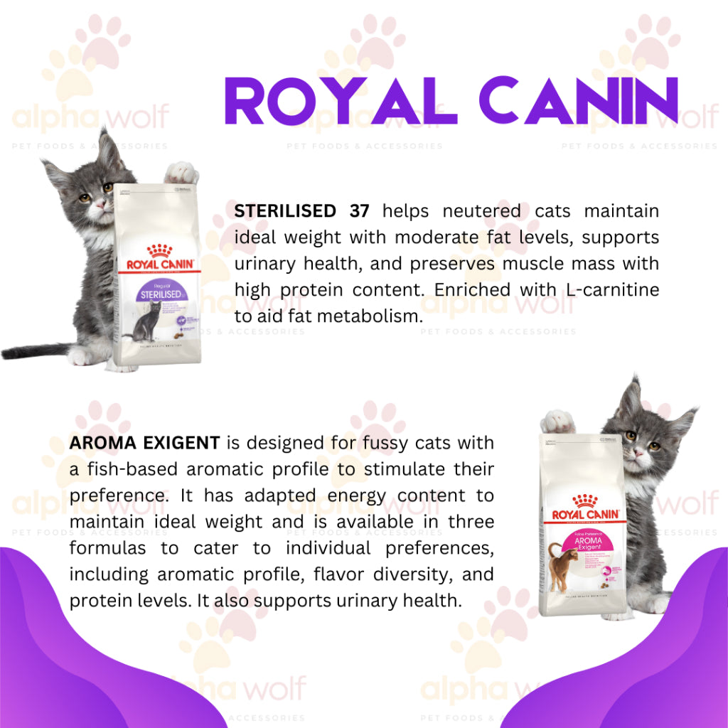 Royal Canin Adult Dry Cat Food