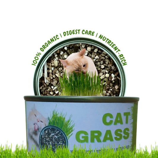 Cat Grass Canned Cat Helps Digestion Vomiting Hair Balls 100% Organic 70g