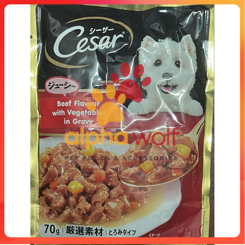 Cesar Wet Dog Food Chicken 70g